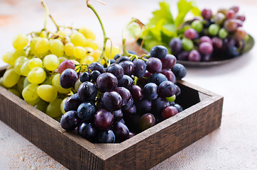 Image showing grape