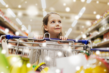 Image showing girl with food in shopping cart at grocery store