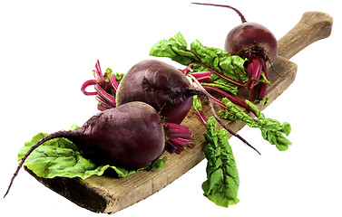 Image showing Fresh Young Beet