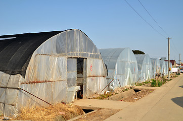 Image showing Large greenhouse for plants in the autumn