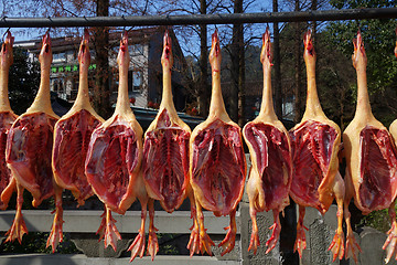 Image showing The meat drying outside on the sun