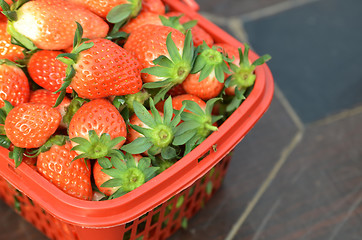 Image showing Closeup on strawberries in basket