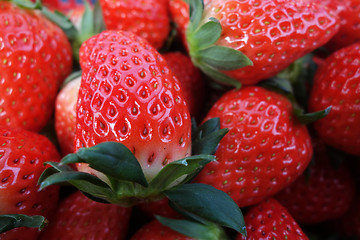 Image showing Fresh and red strawberries