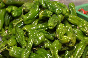 Image showing Tray of green pepper