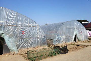 Image showing Large greenhouse for plants in the autumn