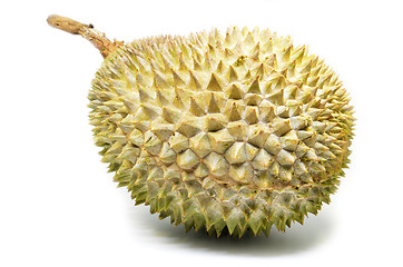 Image showing Durian fruit isolated on white background