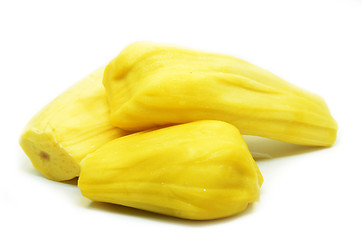 Image showing Ripe jackfruit isolated