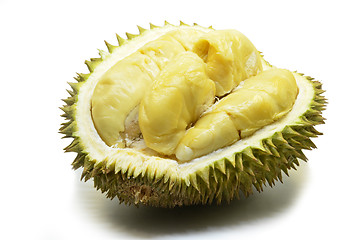 Image showing Durian fruit isolated on white background