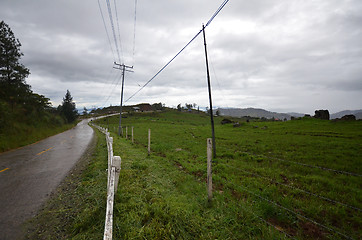 Image showing Cattle Farm in Kundasang Sabah