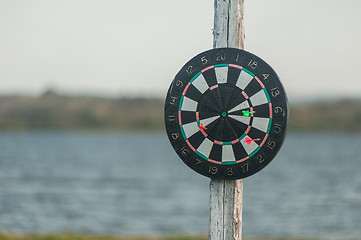 Image showing darts at the nature