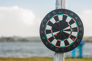 Image showing darts at the nature