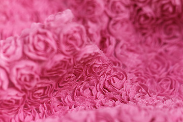 Image showing Pink rose background