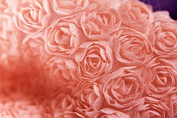 Image showing Peach-colored roses material