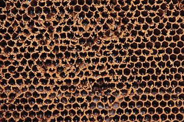 Image showing honeycomb