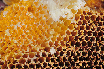 Image showing honeycomb