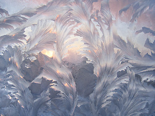 Image showing Beautiful winter pattern