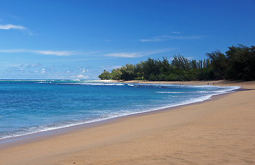 Image showing Hawaii, United States of America