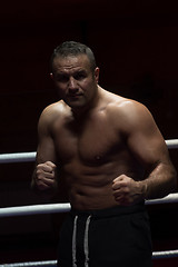 Image showing professional kickboxer in the training ring