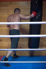 Image showing kick boxer training on a punching bag