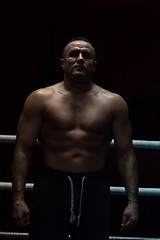 Image showing portrait of muscular professional kickboxer