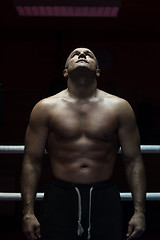 Image showing portrait of muscular professional kickboxer