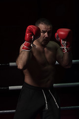 Image showing professional kickboxer in the training ring