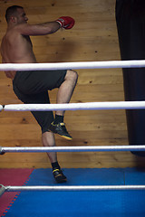 Image showing kick boxer training on a punching bag