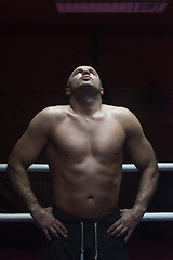 Image showing portrait of muscular professional kickboxer