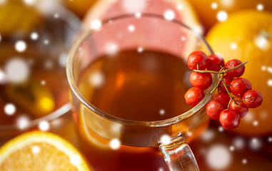 Image showing close up of tea cup with rowanberry