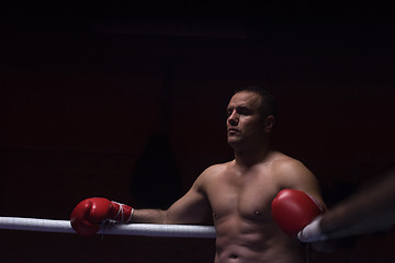 Image showing kick boxer resting on the ropes in the corner