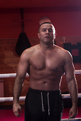 Image showing portrait of muscular professional kickboxer