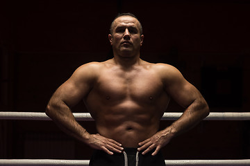 Image showing portrait of muscular professional kickboxer