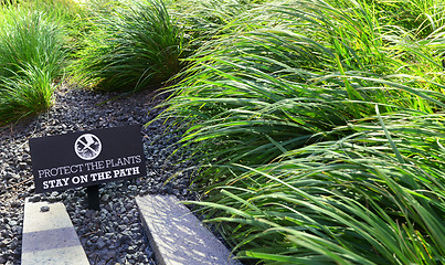 Image showing PROTECT THE PLANTS sign in a flower bed 