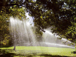 Image showing Sunlight shines through trees and water from a sprinkler