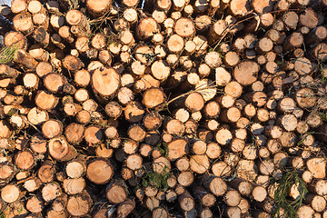 Image showing Pulpwood pile pattern