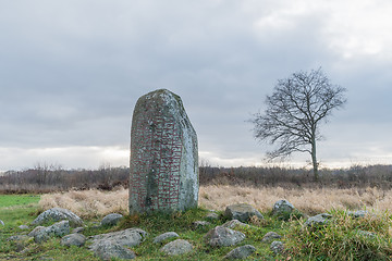 Image showing Ancient runestone in a rural landscape