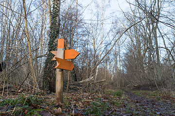 Image showing Colorful wooden arrows in a forest