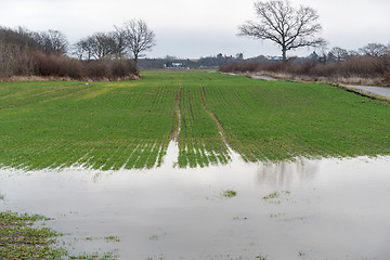 Image showing Farmers flooded field 