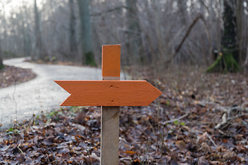 Image showing Orange wooden arrow