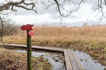 Image showing Red wooden arrows