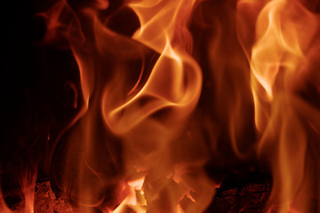 Image showing Fire flames