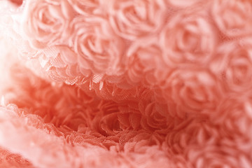 Image showing Peach-colored roses material