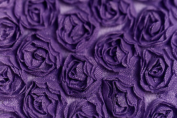 Image showing Purple rose background