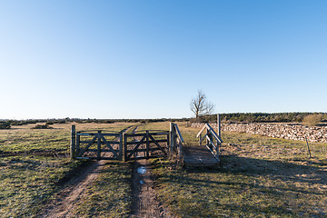 Image showing Old gate into a great plain landscape