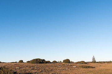 Image showing Wide open landscape