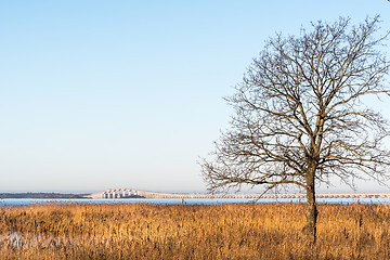 Image showing The Oland Bridge in Sweden