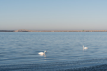 Image showing The Swedish Oland Bridge