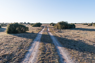 Image showing Country road in a great plain landscape