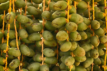 Image showing date fruits texture