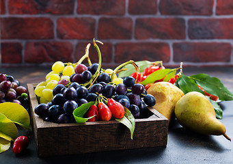 Image showing autumn fruits